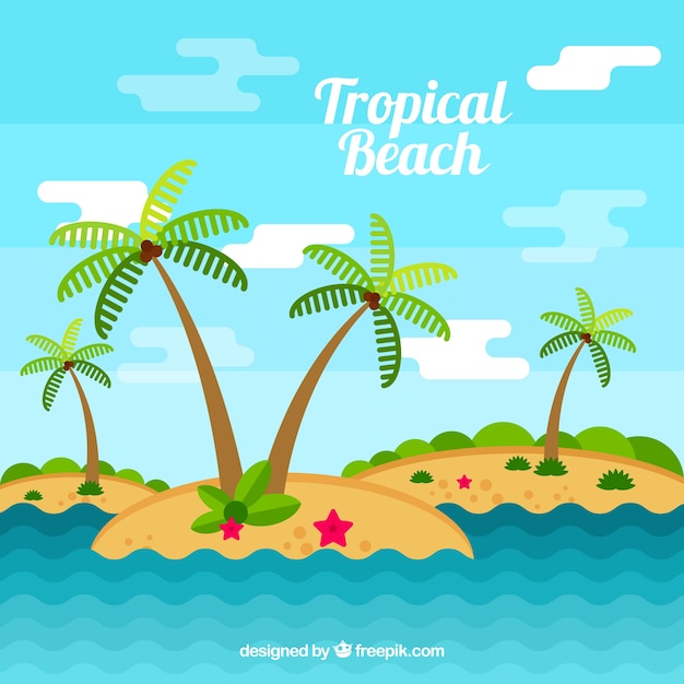 Belle Plage Tropicale Avec Un Design Plat