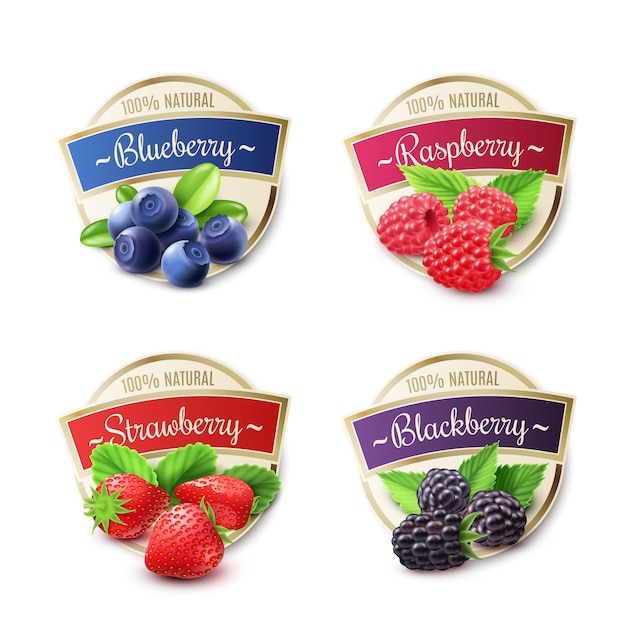 Vecteur gratuit berry labels set