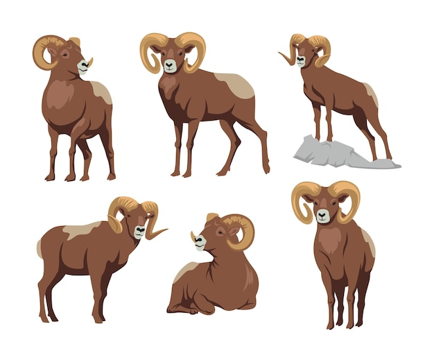 Vecteur gratuit bighorn brun dans différentes poses ensemble d'illustrations de dessins animés. bélier, mouton, mascotte avec de grandes cornes assis et debout illustration de vecteur plat isolé sur fond blanc. animal, concept d'agression