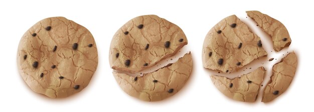Vecteur gratuit biscuits à l'avoine vue de dessus biscuit entier ou fissuré