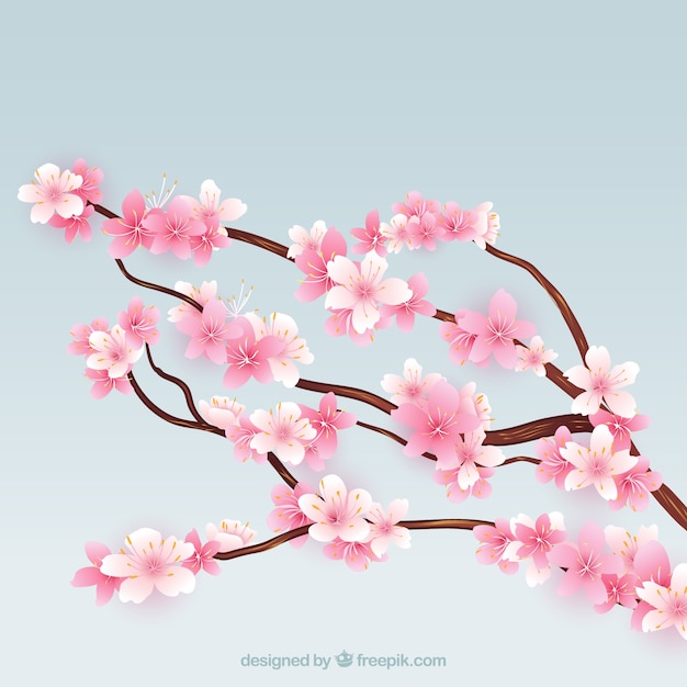 Vecteur gratuit blooming cherry branches d'arbres