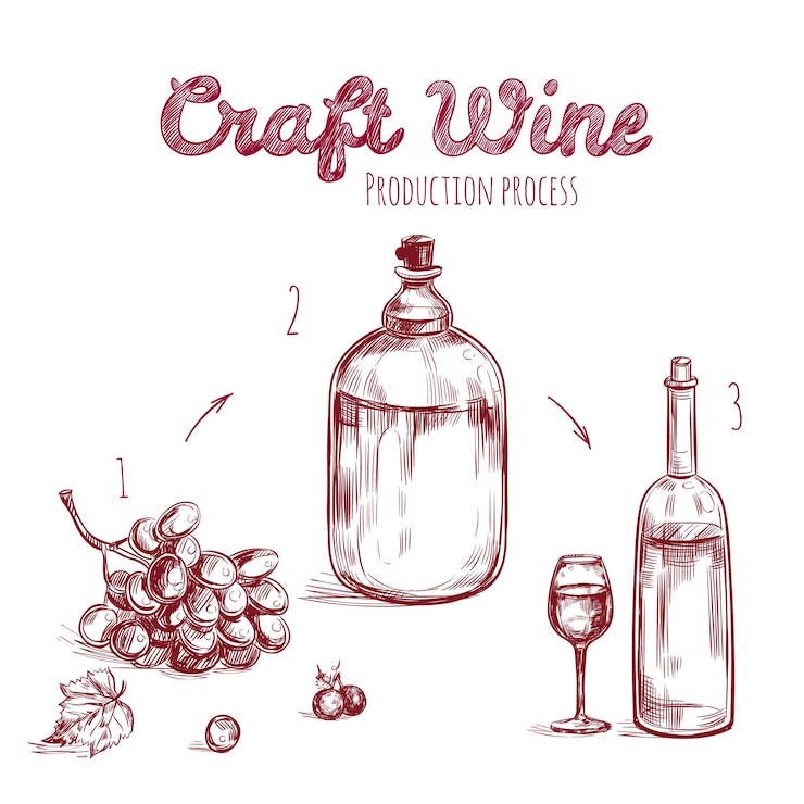 Vecteur gratuit boisson artisanale concept dessiné à la main
