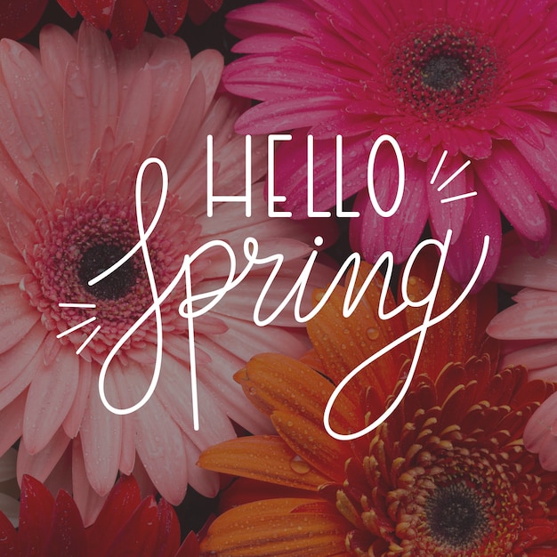 Vecteur gratuit bonjour lettrage de printemps avec concept photo