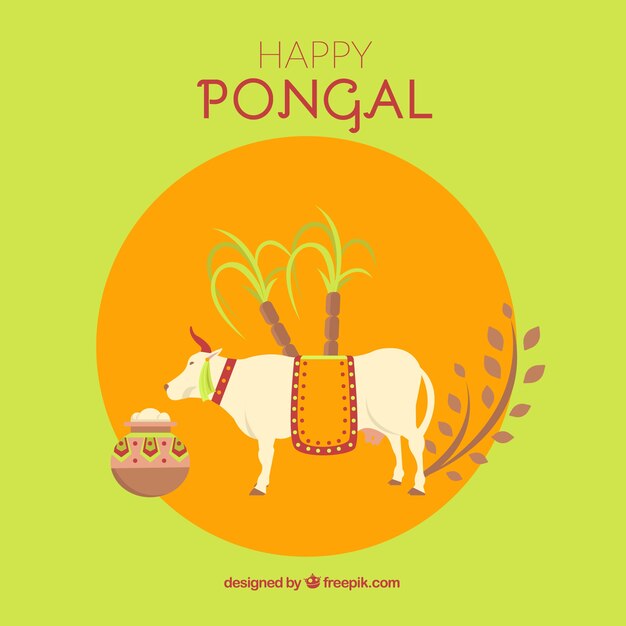 Bonne fond pongal avec une vache