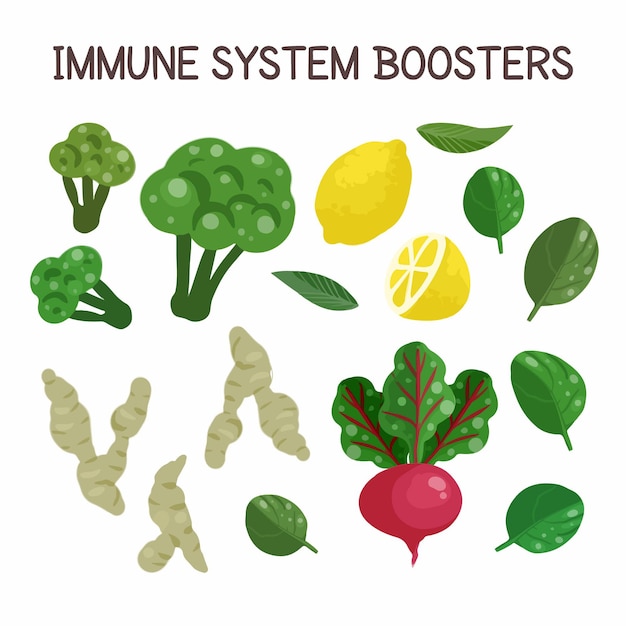 Boosters du système immunitaire
