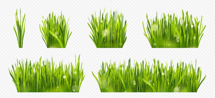 Vecteur gratuit bordure d'herbe de pelouse verte réaliste avec la lumière du soleil