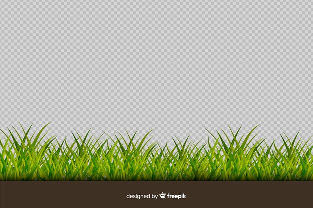 Bordure de style réaliste d&#39;herbe