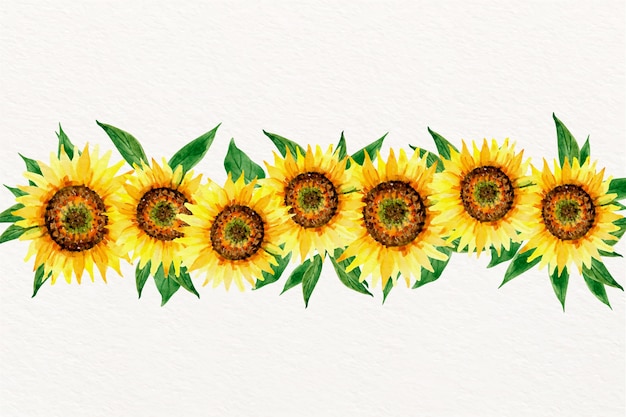 Vecteur gratuit bordure de tournesol aquarelle