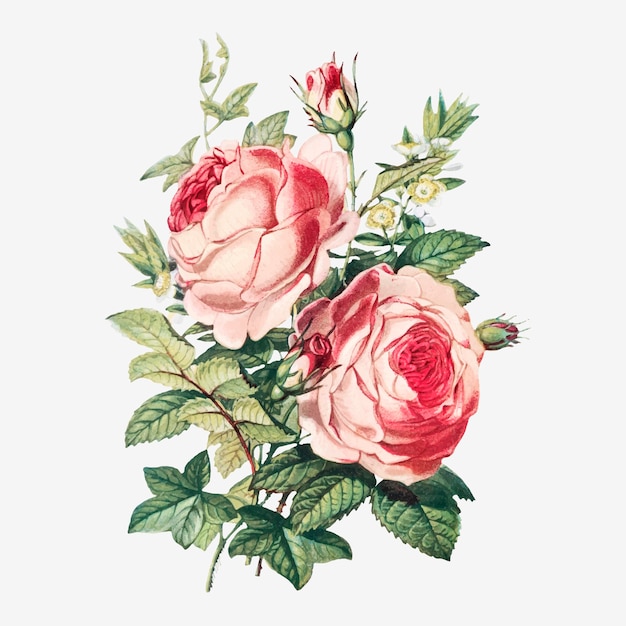 Vecteur gratuit bouquet de fleurs d'été vintage