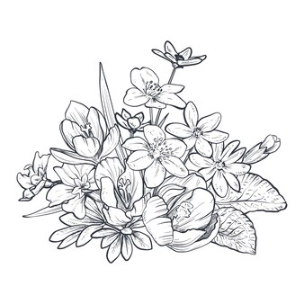 Bouquet vectoriel dessiné à la main de fleurs printanières et de feuilles sur fond blanc. carte de voeux romantique aux couleurs noir et blanc. croquis de style graphique