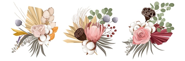 Bouquets de fleurs séchées Boho avec composition de trois bouquets isolés avec fleurs sauvages et illustration de maïs domestique