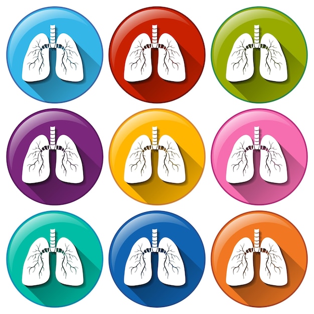 Vecteur gratuit boutons avec organe pulmonaire