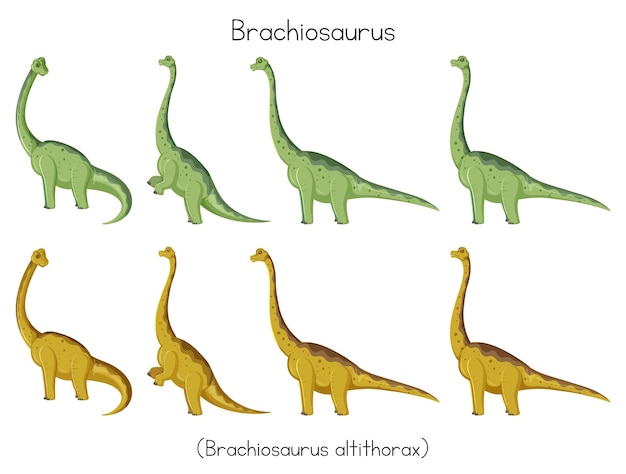 Vecteur gratuit brachiosaurus dans différents postes