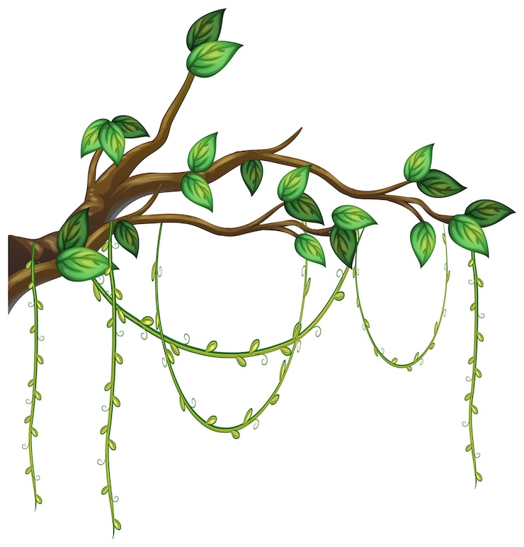 Vecteur gratuit branche d'arbre avec liane isolée