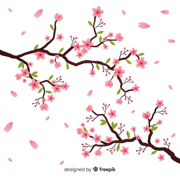 Branche De Fleurs De Cerisier Dessinés à La Main