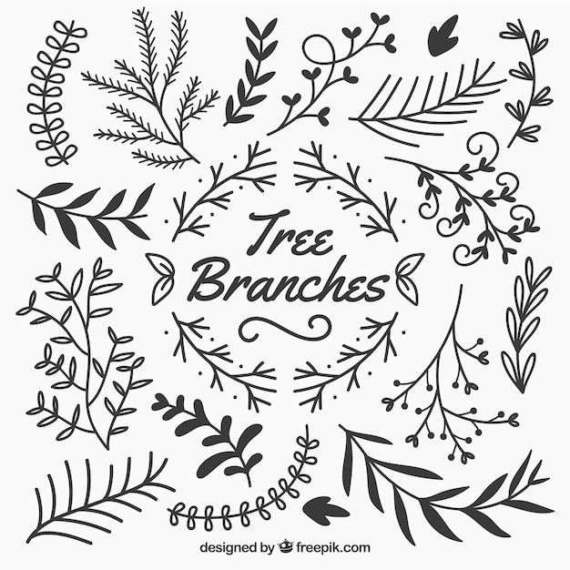 Vecteur gratuit branches d'arbres sketchy