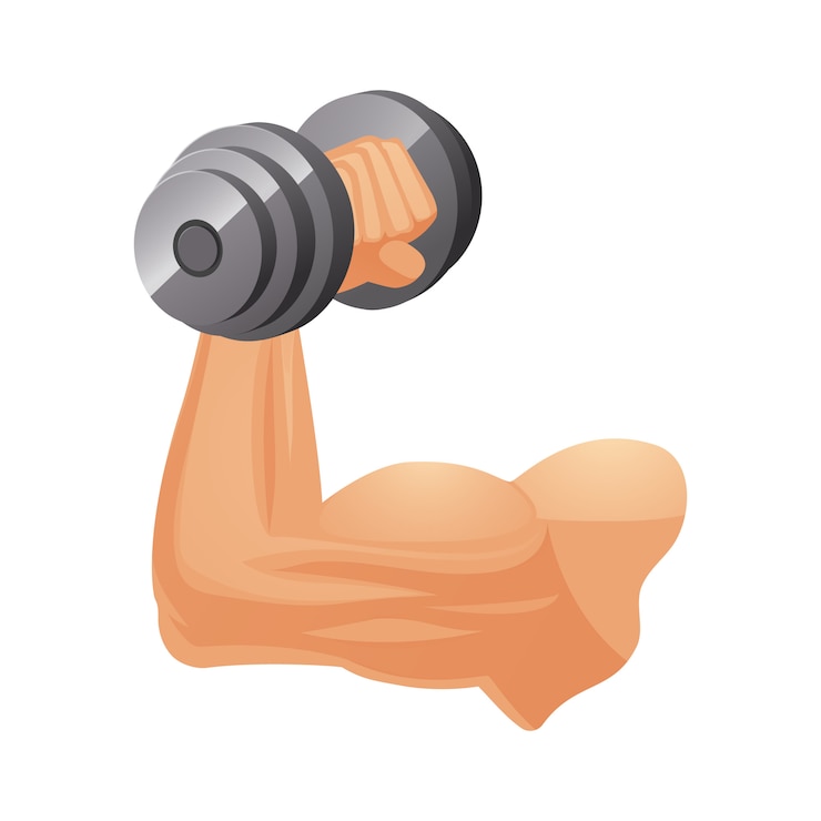 Vecteur gratuit bras musclé du caucase