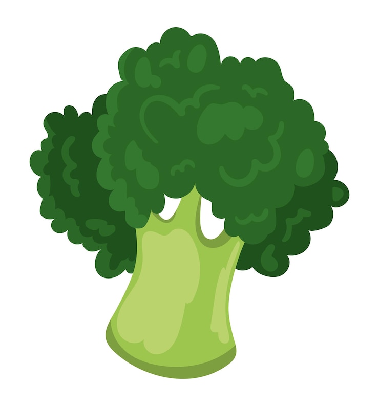 Vecteur gratuit le brocoli est un aliment sain
