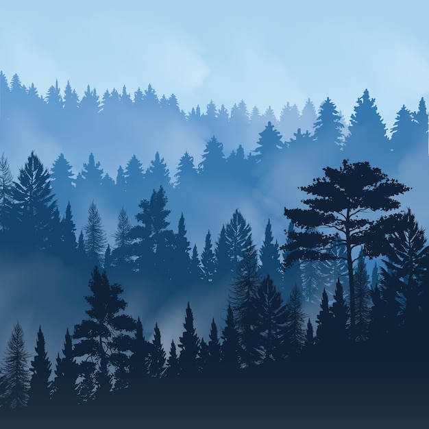 Brouillard Du Soir Au Sommet Des Arbres De La Forêt De Pins Vecteur gratuit