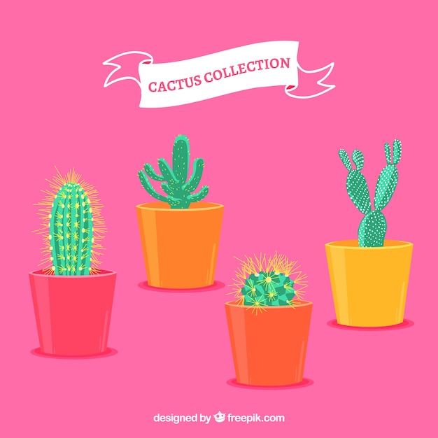 Vecteur gratuit cactus pack avec style exotique