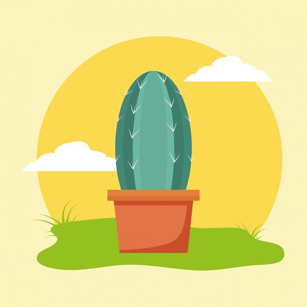 Cactus en pot dans le jardin