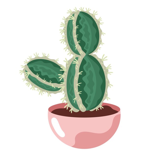 Cactus En Pot