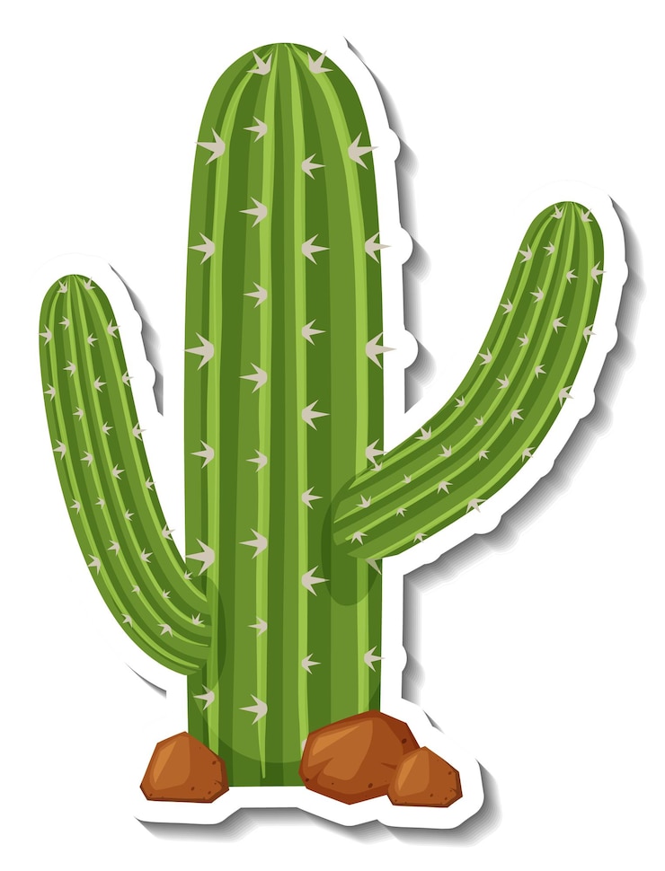 Vecteur gratuit cactus saguaro sur fond blanc