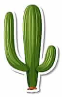 Vecteur gratuit cactus saguaro sur fond blanc