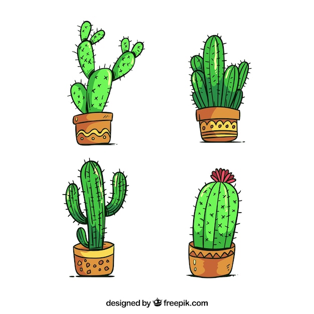 Cactus