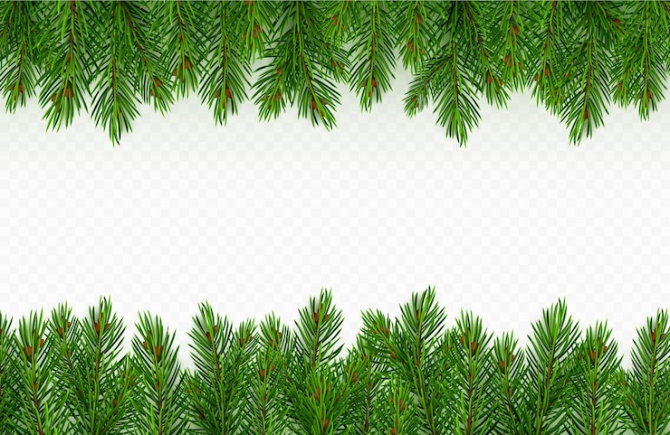Vecteur gratuit cadre de brindilles de sapin vert frontière branche de pin