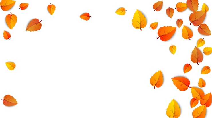 Vecteur gratuit cadre de feuille d'or d'automne feuilles d'érable tombées isolées sur le feuillage blanc de la nature automnale