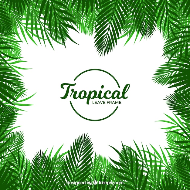 Cadre de feuilles tropicales dans un style plat