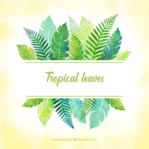 Cadre De Feuilles Tropicales Avec Style Aquarelle