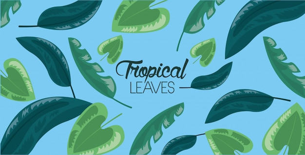 Cadre Feuilles Tropicales