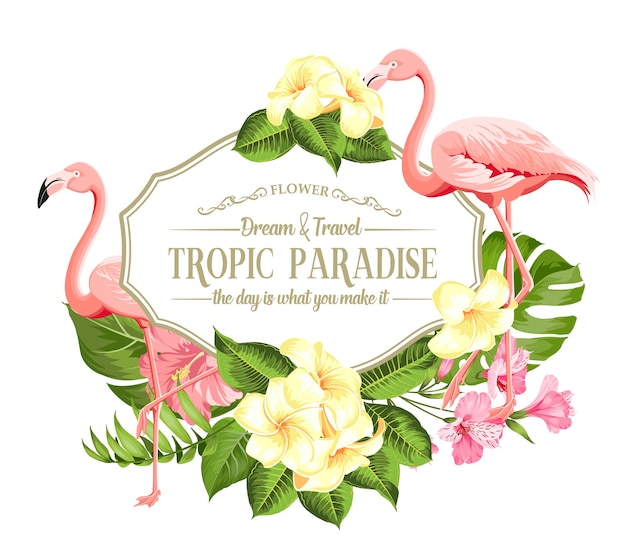 Cadre De Fleurs Tropicales Et Flamants Roses Sur Fond Blanc. Illustration Vectorielle.