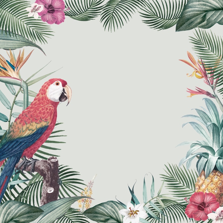 Vecteur gratuit cadre perroquet tropical