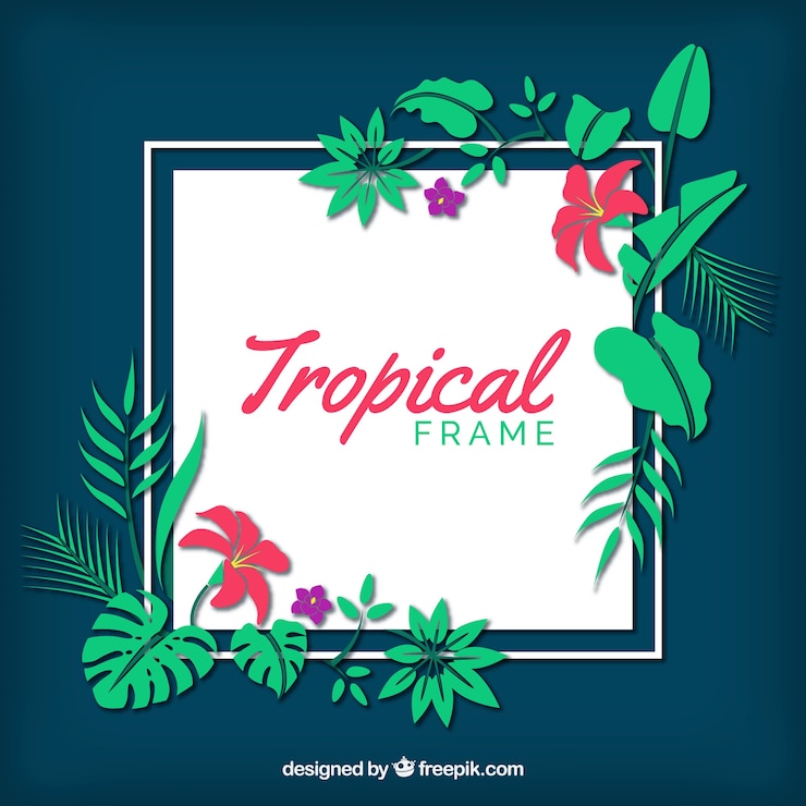 Vecteur gratuit cadre plat d&#39;été avec des feuilles tropicales