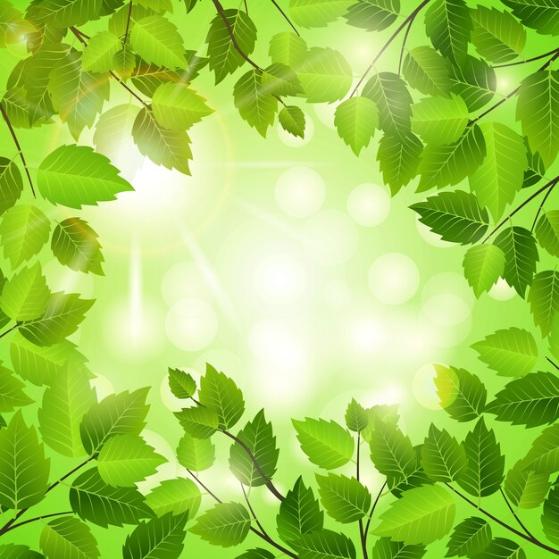 Cadre de printemps de feuilles vertes fraîches avec copyspace central avec une lumière du soleil scintillante bohek au format carré pour les concepts écologiques et nature