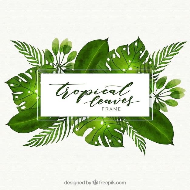 Cadre tropical avec différentes feuilles dans un style aquarelle