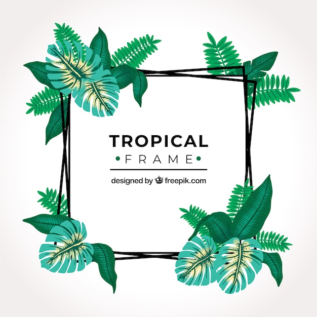 Vecteur gratuit cadre tropical avec des feuilles et de la végétation
