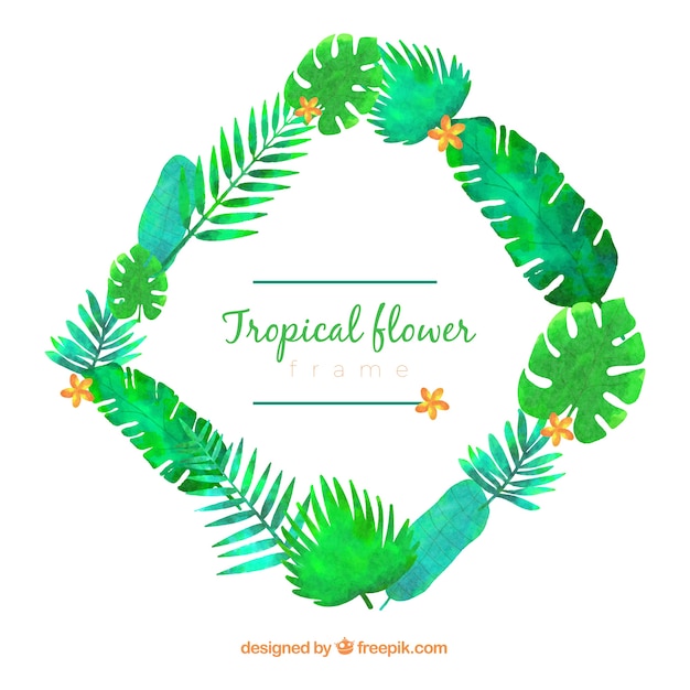 Cadre Tropical Avec Des Feuilles Et De La Végétation