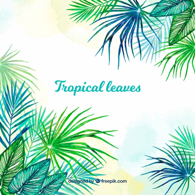 cadre tropical avec des feuilles