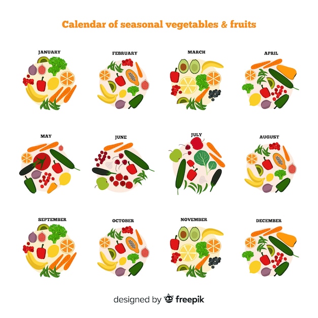 Vecteur gratuit calendrier de fruits et de fruits de saison de cercles dessinés à la main