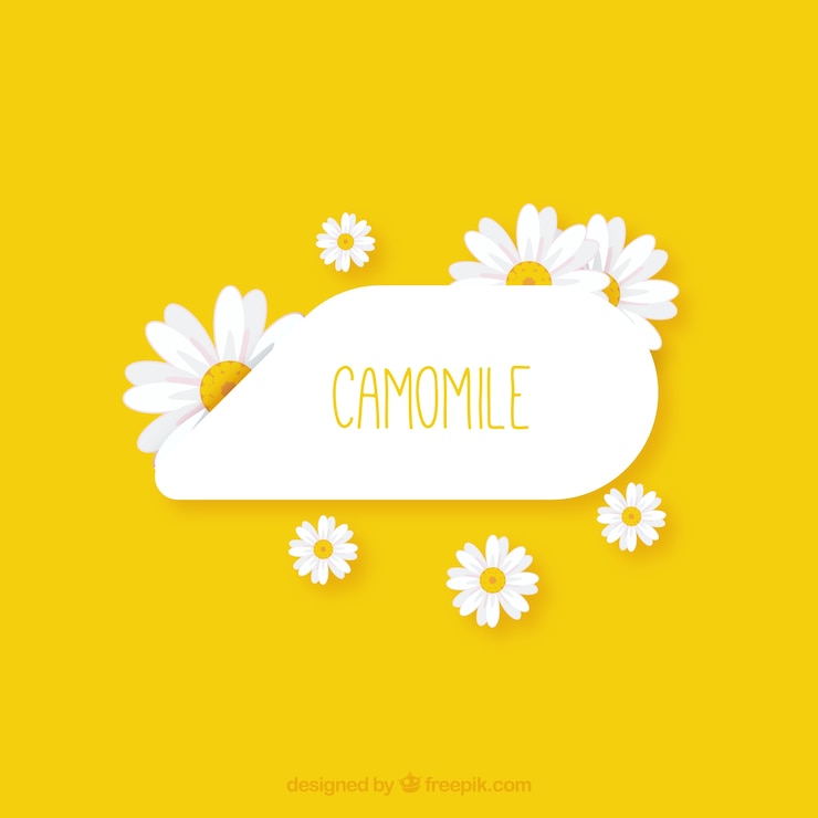 Vecteur gratuit camomille