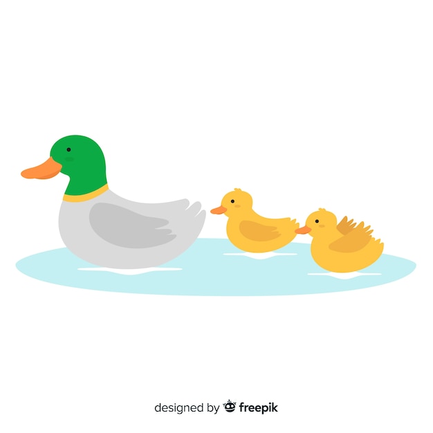 Canard Et Son Petit Canard