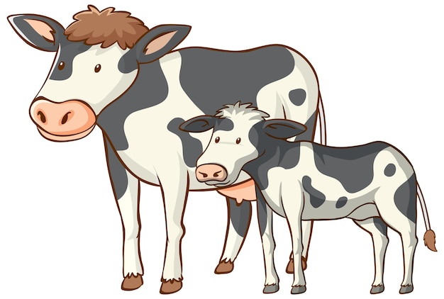 Vecteur gratuit caricature d'animaux de vache mère et bébé sur fond blanc