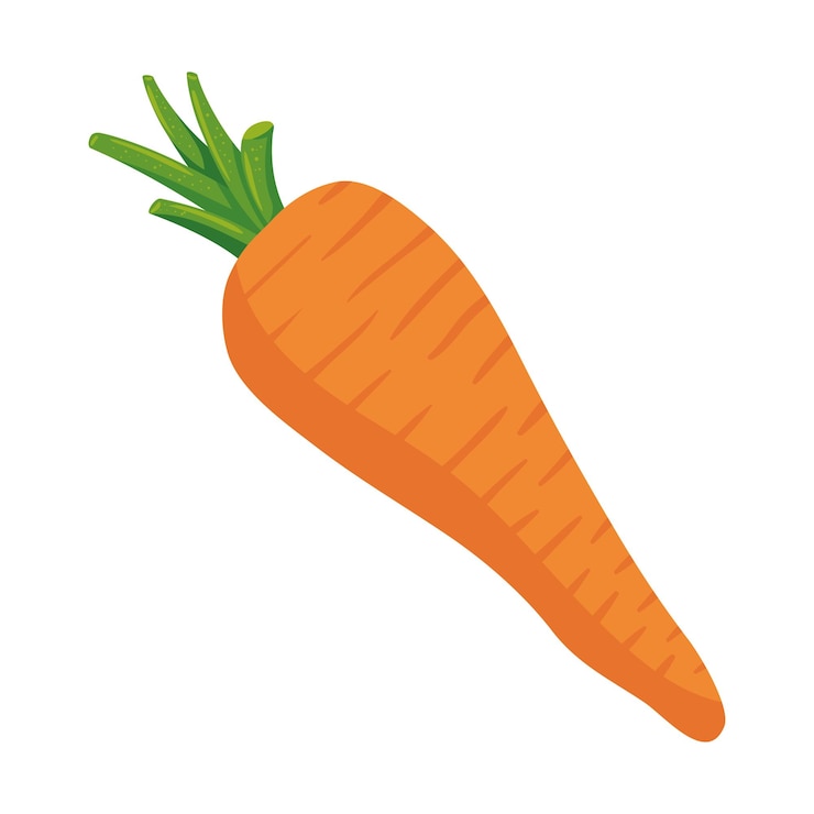 Vecteur gratuit carotte, légumes, icône biologique isolée
