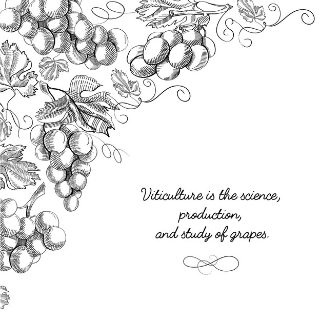 Carte de conception de typographie doodle avec inscription que la viticulture est la science