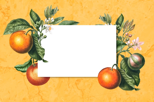 Carte encadrée orange