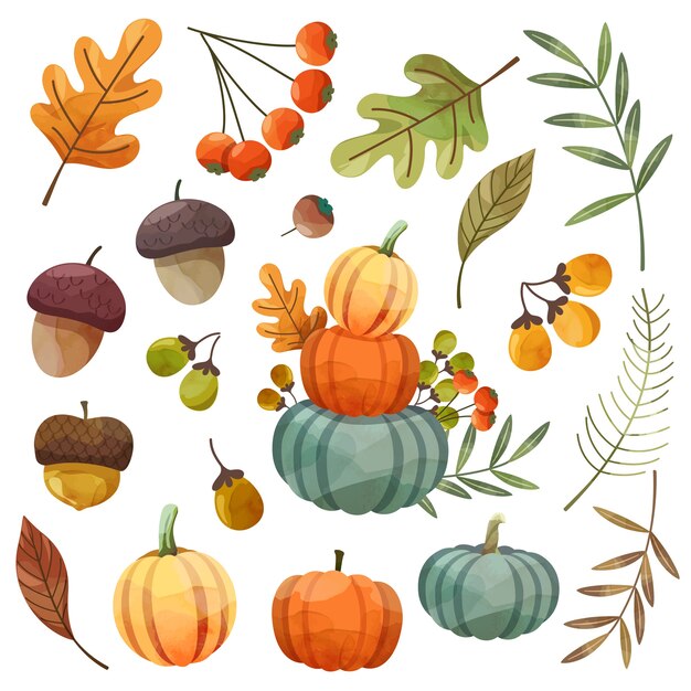 Carte de joyeux jour de Thanksgiving ou dépliant avec des feuilles de noix, de citrouille et d'érable.